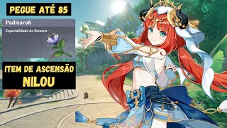 ROTA COMPLETA DE PADISARAHS  PEGUE ATÉ 85  ITEM DE ASCENSÃO PARA NILOU  GENSHIN IMPACT [upl. by Sarette]