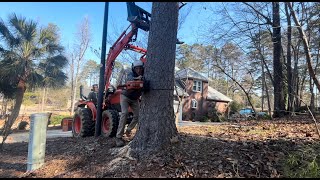 Customer said no way you can drop it right therePINE TREE REMOVAL [upl. by Anayd]