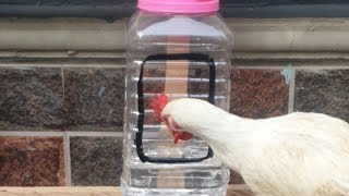 How To Make Drinker For Chickens With Waste Plastic Material Without Spending Money [upl. by Bayer]