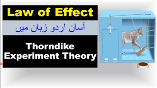 Thorndike theory of learning  Law of Effect  Law of Learning  Trail and Error  Theory Puzzle Box [upl. by Darda]