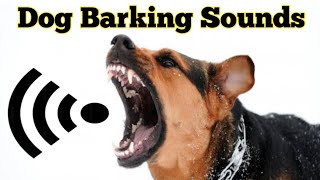 Dog Sound  Dog Barking Sounds  Dog Voice [upl. by Brittne]