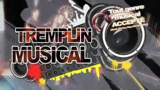 Tremplin Laser game Evolution® [upl. by Iren256]