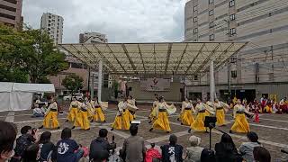 山口県立大学 よさこい部奄美連合萩組 よさこい佐世保祭り2024年島瀬会場 [upl. by Sexela]