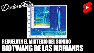 RESUELVEN el MISTERIO DEL SONIDO BIOTWANG 🐋 [upl. by Zwart]