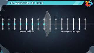 16  Class 12  Physics  Wave Optics  Polarisation [upl. by Aeht]