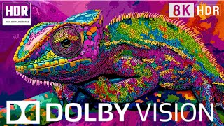 8K VIDEO ULTRA HD 240 fps Dolby Vision 8k Video [upl. by Nomde793]