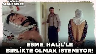 Yılanı Öldürseler  Esme Halili İstemiyor [upl. by Nytram172]