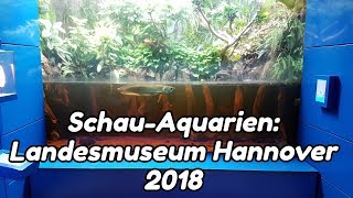 SchauAquarien Niedersächsische Landesmuseum Hannover 2018 [upl. by Nyladnohr]