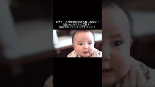 【離乳食】ピザチーズの食感が受け入れられない！と思ったらすぐに克服‥？！初めてのトマトチーズリゾット！赤ちゃん 離乳食 0歳児 成長記録 [upl. by Ikram]