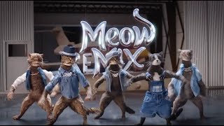 Meow Mix Commercial 2023 Meow Mix Jingle Wet Your Whiskers Ad [upl. by Placida]