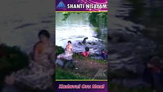 Kadavul Orunal Video Song  Shanti Nilayam Movie Songs  Gemini Ganesan  Kanchana  YTShorts [upl. by Klenk683]