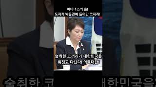 도자기 박물관에 간 술취한 코끼리 대한민국을 휘젓는 술취한 코끼리 검찰해체 채해병특검 이언주의원 독도팔아먹기 의료대란 [upl. by Cannell]