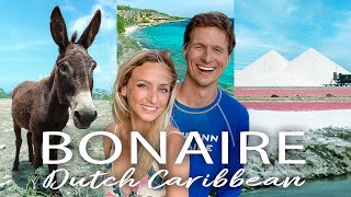 BONAIRE Travel Guide 🇧🇶 30 BEST things to do cost amp more  our vlog [upl. by Ange606]