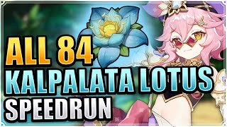 ALL 84 Kalpalata Lotus Locations EFFICIENT amp FAST ROUTE Genshin Impact Dori Ascension Material [upl. by Nadruoj878]