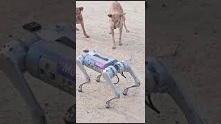 QUADRUPED ROBOT 🤖 IIT Kanpur Techkriti 2024 New invention by IITains iitkanpur techkriti [upl. by Goodrich]