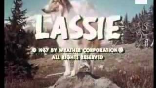 Sigle telefilm  LASSIE [upl. by Deeas]