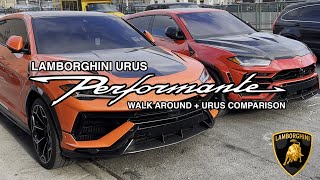 2023 Lamborghini urus performante walk around plus comparison [upl. by Akihsar567]