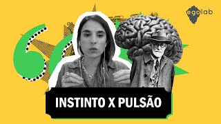 Instinto x Pulsão [upl. by Enneirdna]