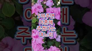 5억주면 이혼해주겠다는 며느리 [upl. by Mars]