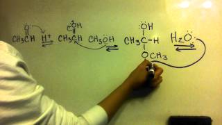 Acetal Formation from an Aldehyde  Mechanism [upl. by Skoorb688]