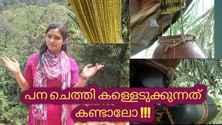 palm toddy tapping in kerala palm palmtoddy kerala idukki [upl. by Annaet]