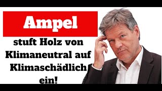 Plötzlich klimaschädlich Umweltbundesamt stuft Holzenergie herab [upl. by Assirrem668]