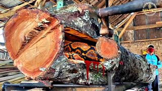 Redwood Destruction at Sawmill [upl. by Nev680]