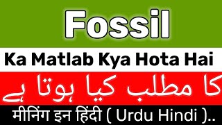 Fossil Meaning  Fossil Meaning In UrduHindi  Fossil Ka Matlab Kya Hota Hai  Fossil Meaning Kya [upl. by Ferdinana4]