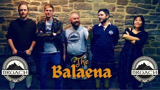 Bruach  The Balaena  Live Scottish Folk Music 2024 [upl. by Jori]