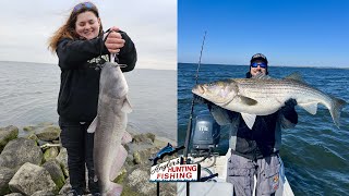 Chesapeake Bay Fishing Report March 29th 2024 [upl. by Doelling288]