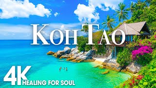 KOH TAO NATURE in 4K UHD Drone Film  Relaxing Piano Music for Stress Relief Sleep Spa Yoga Cafe [upl. by Frasier]