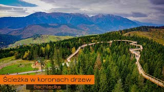 Ścieżka w Koronach Drzew Bachledka czyli Zdziar Tatry i Pieniny [upl. by Zenobia]