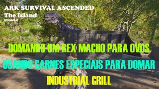 ARK SURVIVAL ASCENDED  The Island  22  Vamos domar um REX macho para ovos [upl. by Valentijn25]