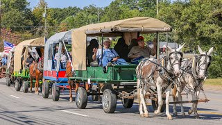 Mule Day 2023  Winfield Alabama 4K [upl. by Comfort]