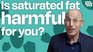 Is Saturated Fat Bad For You [upl. by Cassell]