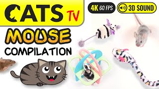 GAME FOR CATS  The Best MOUSE Compilation 🐭🙀 4K 60FPS Cats TV [upl. by Bishop642]