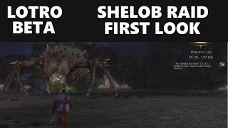 Lotro Beta Shelob Raid First Look [upl. by Albie]