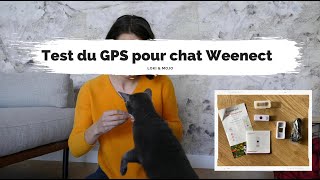 Présentation test et avis du GPS pour chat Weenect  Loki amp Mojo [upl. by Aneen18]