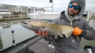 Salmon Fishing Racine Harbor ACTION [upl. by Edlihtam]