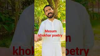 Mesum khokhar 313 poetry [upl. by Aserej]