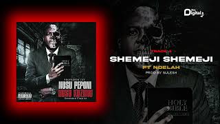 Professor Jay Feat Ndelah  SHEMEJI SHEMEJI Official Audio [upl. by Nudd]