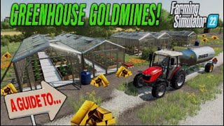 FS22  A GUIDE TO… GREENHOUSES  Farming Simulator 22  INFO SHARING PS5 [upl. by Marya994]