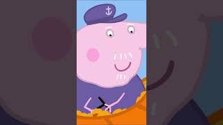 Concurso de calabazas  Peppa Pig en Español shorts peppapig dibujosanimados [upl. by Elden191]