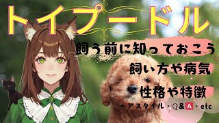 【トイプードル】人気犬種第1位のトイプードル！ペットを飼いたい、ペットの性格や特徴、歴史や由来、ペットを飼う前に知っておきたいQampAなども詳しく解説！ [upl. by Arykahs]