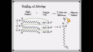 Verseifung eines Fettmoleküls [upl. by Mikel]