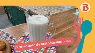 Fermentado de lactobacilos vivos  Band Receitas [upl. by Keviv220]