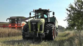 Giganten im Einsatz Raps Ernte 2016 XXL Extrem MONSTER Claas Lexion 770 im Doppelpack Mähdresche [upl. by Townshend]