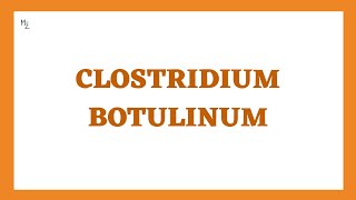 Clostridium Botulinum  Botulism or Flaccid Paralytic Disease [upl. by Schwing]