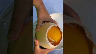 EATING OSTRICH EGG ostriches ostrichegg foodie bigegg [upl. by Anitahs]