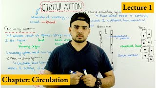 how Circulation works Circulation and circulatory system overview Chapter circulation Video 1 [upl. by Ahsikram]